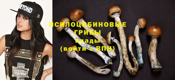 гидропоника Алексеевка