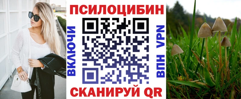 Псилоцибиновые грибы Psilocybe  это клад  Чехов  блэк спрут ссылки 